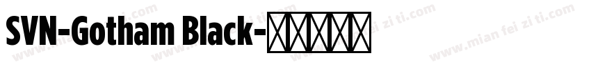 SVN-Gotham Black字体转换